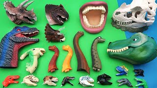Dinosaur Heads  Jurassic World Lego, Brachiosaurus, TRex Smashers