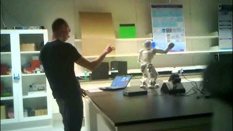 Humanoid Robot Control using WebCam