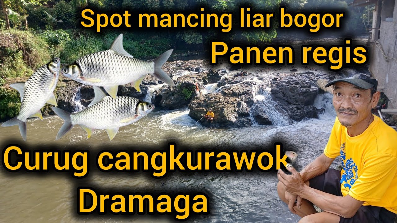 RUTE SPOT MANCING LIAR CURUG CANGKURAWOK DRAMAGA BOGOR, SPOT IKAN REGIS