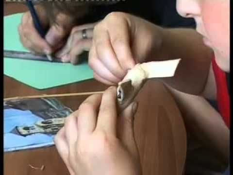 გზა ჭეშმარიტებისა