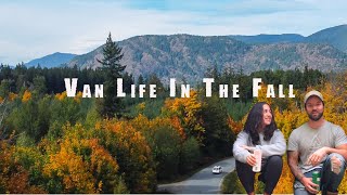 Autumn Van Life Adventure on Vancouver Island | Hungry Bears & Celebrating
