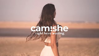 Camishe & Max Oazo - Right Here Waiting (The distance & Igi Remix) | Official Video chords