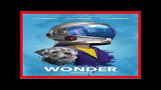 Famous Breaking News | Harvey weinstein and daughter’s ‘yelling argument’ prompts ‘family dispute’ call to Profile