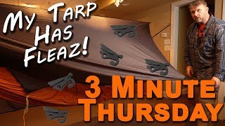 My Tarp has Fleaz, my tarp system for easy porch mode screenshot 3