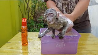 So Many Bubbles Rara Enjoys Her Baby-Safe Bath