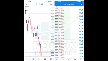 TREMENDOUS FOREX TRADING EA ROBOT GURU SCALPER EA USER
