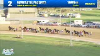 NEWCASTLE - 17/03/2018 - Race 2 - GLOBAL BLOODSTOCK PACE