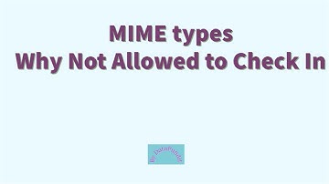 MIME  types in abinitio | why my object is not allowed to  check In