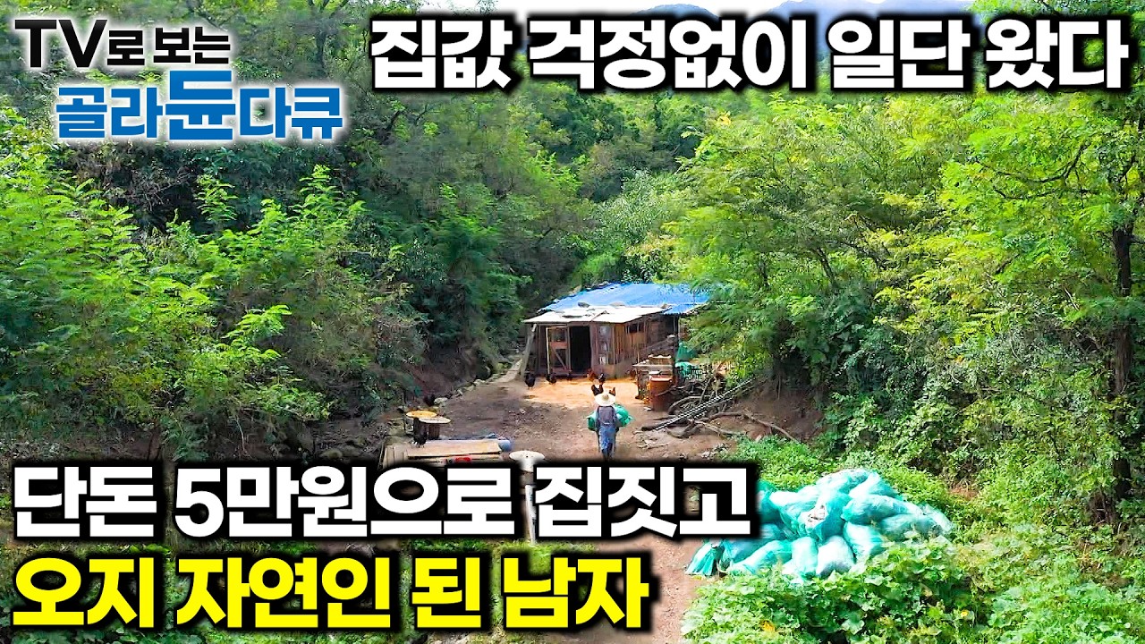자재값 단돈 5만원에 오지 산골 자연인이 됐다. 은퇴 후 꿈 이룬 27년차 제빵사｜⛰️오지와 바다에서 잘해먹고 사는 사람들⛰️1시간 몰아보기｜한국기행｜#tv로보는골라듄다큐