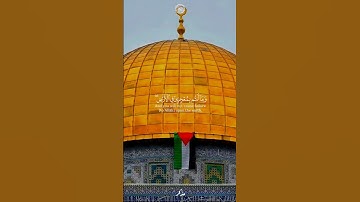 سورة الشورى الآية { 30 - 31 } بصوت فضيلة الشيخ رعد الكردي #القرآن_الكريم #سورة_الشورى #رعد_الكردي