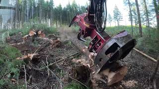 Trying out our Tigercat LX830D with a quadco intermittent 2900 head!
