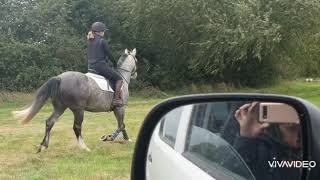 Ad ref 240742   Video 2