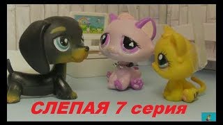 LPS: Слепая 7 серия LPS: Слепая 7 серия