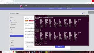 PicoCTF Specialer Information