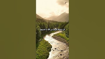 #القرآن_الكريم #قرآن #quran لحظات إيمانية مع تلاوة خاشعة تبعث السكينة 🌙💚