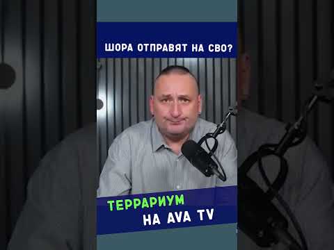 Шора отправят на СВО?