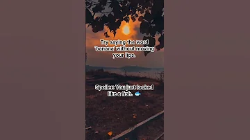 Music Phonk Anime Animeedit Song Animation Travel Kindnessiscool Musicanimation Catmother 