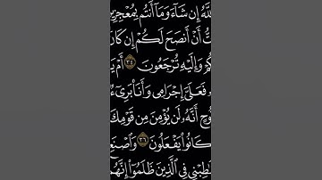 سورة هود الآية ٣٦                      الشيخ محمد سمير