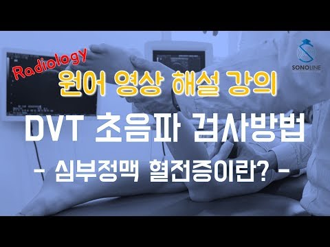 심부정맥혈전 초음파 검사 - Lesson 2