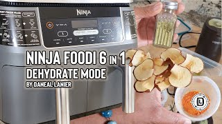 Ninja Foodi 6-1 Dehydrate mode Only