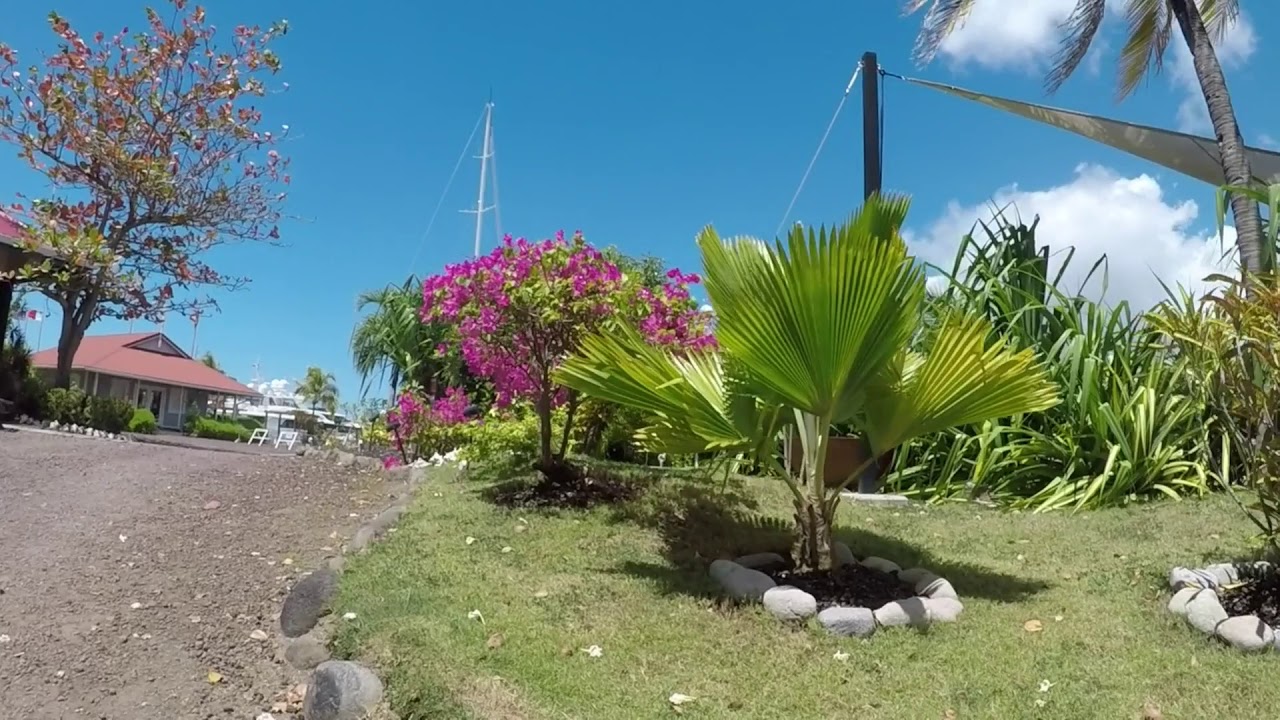 PORT LOUIS Marina. Sur de Grenada, Antillas Menores.