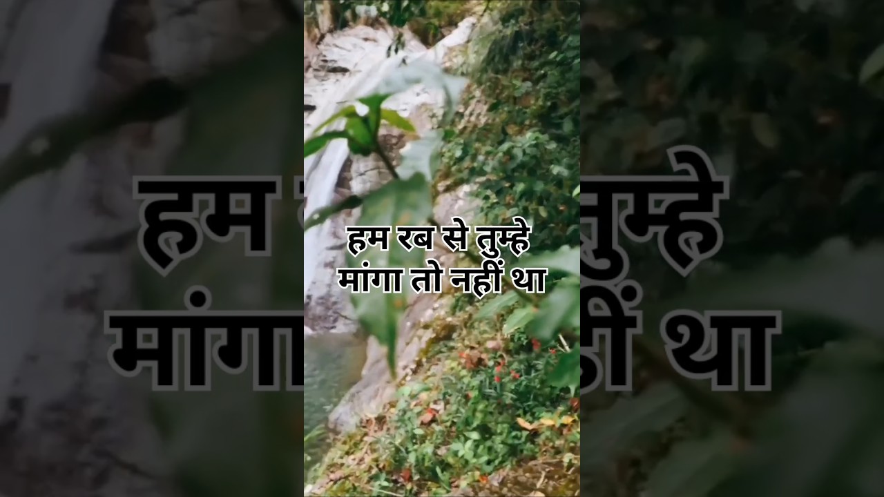 Happy_new_year_status_happy_new_year_shayari_status_new_year_love_status_shayari