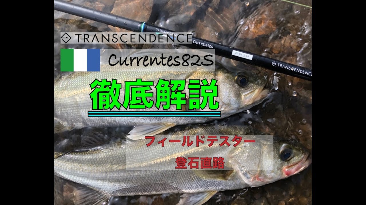 トランスセンデンス カレンテス82Sを徹底解説 Transcendence Currentes82S - YouTube