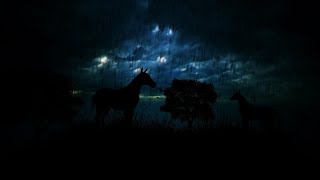 Gentle Rain and Thunder Sounds for Sleeping in a Field of Horses | Dimmed Screen Thunderstorm