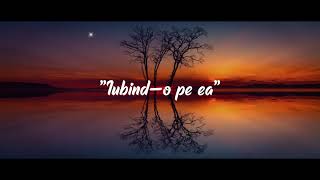 Yenic - "Iubind-o pe ea" (Lyrics Video)