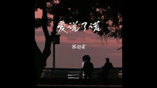 爱说了谎 (Dj越鑫版)