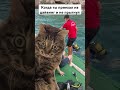 #турция#дайвинг