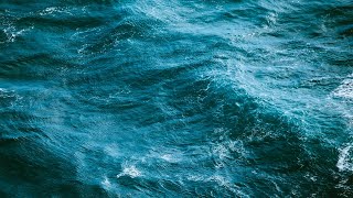 SAMUKE - Sea