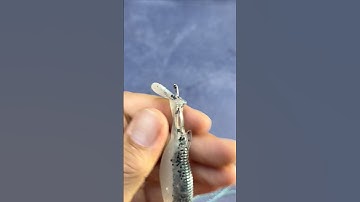 De geheime tuigage die wedstrijdvissers liever geheim houden! #zandervissen #baarsvissen #vistips