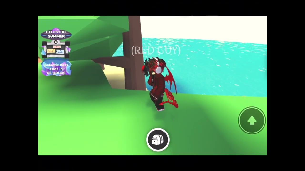 History of my 1 first pet do you need part 2