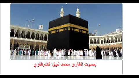 تلاوة رائعة بصوت القارئ محمد نبيل الشرقاوي| سورة الانشقاق