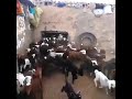 إفتح يا سمسم ابوابك نحن الأطفال إفتح يا سمسم ابوابك نحن الأطفال