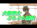 実は誕生日だと気づいたYouTubeで生配信！！