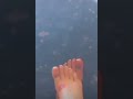 العظيمه رولا يموت تهنئ عبيدها بالعيد مع اطلالة لاقدامها