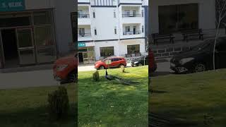 Afyonkarahisar Başaranlar Termal