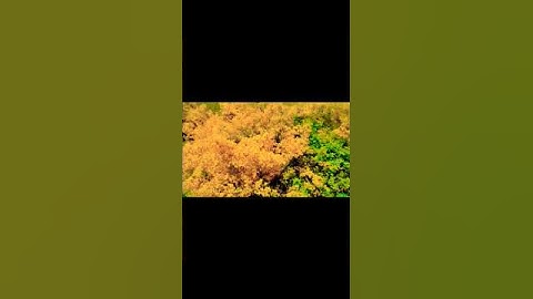 لا تنسوا الصلاة على النبي والاكثار منها وكذلك قراءة سورة #الكهف في يوم الجمعة