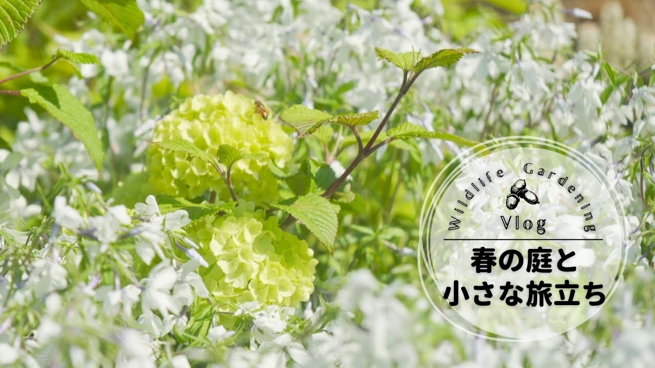 春の庭と小さな旅立ち