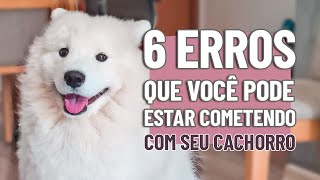 6 erros que as pessoas cometem com seus cachorros