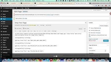 Strip jQuery in WordPress