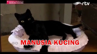 Hikmah Kehidupan - Manusia Kucing