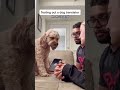 Dog Translator ACTUALLY Worked Shorts Dog Translator ACTUALLY Worked Shorts