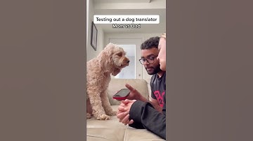 Thumbnail of Dog translator ACTUALLY worked!! #shorts