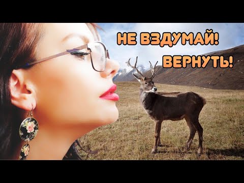 Почему не стоит возвращать бывшую женщину?