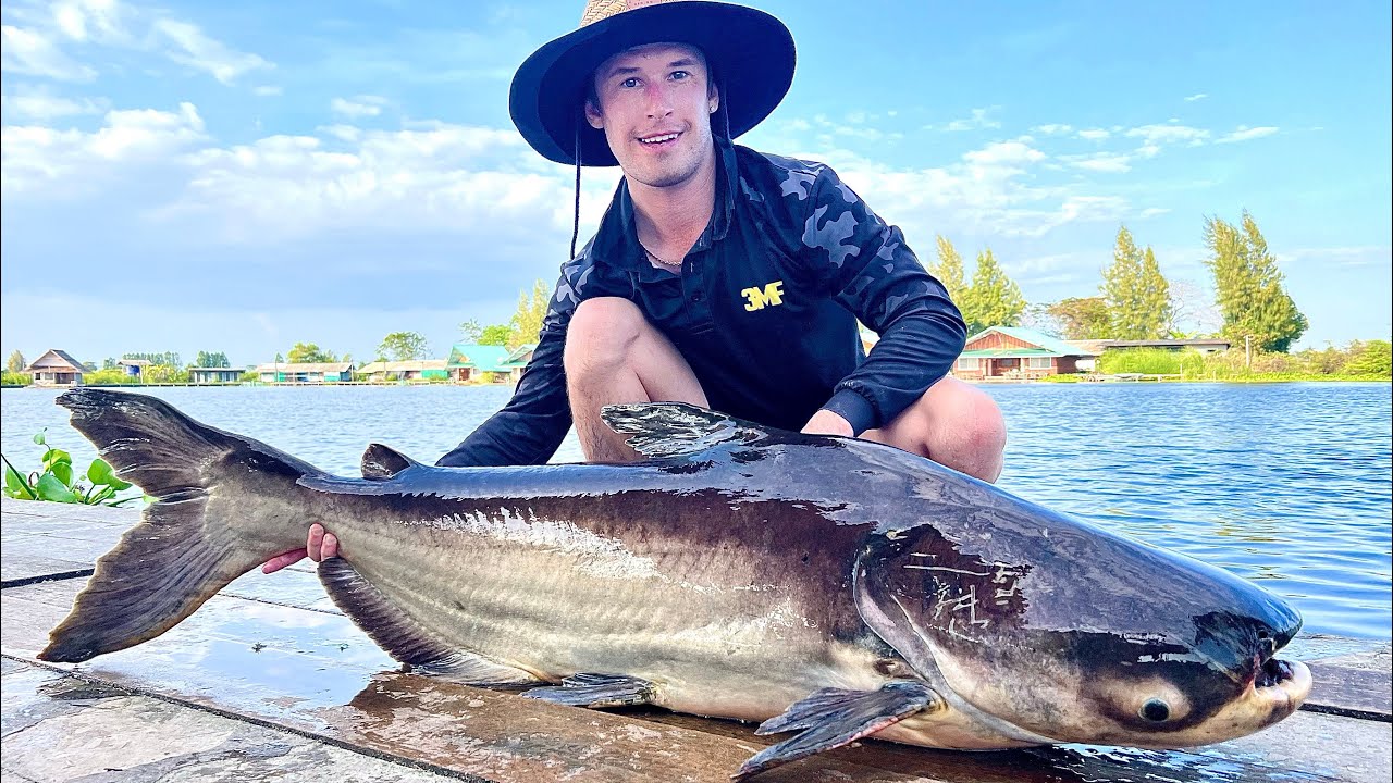 Catching Heaps Of Giant Mekong Catfish! (Bungsamran Lake) Ep 19