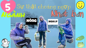 #Vlog5: Ngành nghề vất vả nhất nhì của TTS tại Nhật Bản P2 #NongNghiep #NhậtBan?