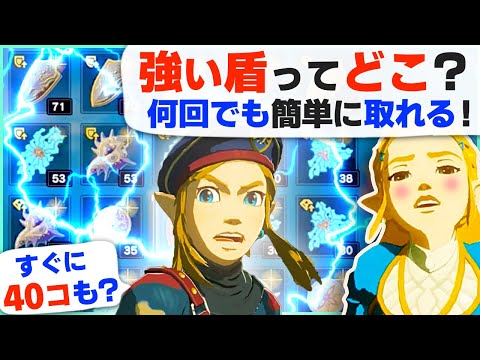 ゼルダbotw 太陽の盾の効果 入手方法まとめ ブレスオブザワイルド ブレワイ 攻略大百科